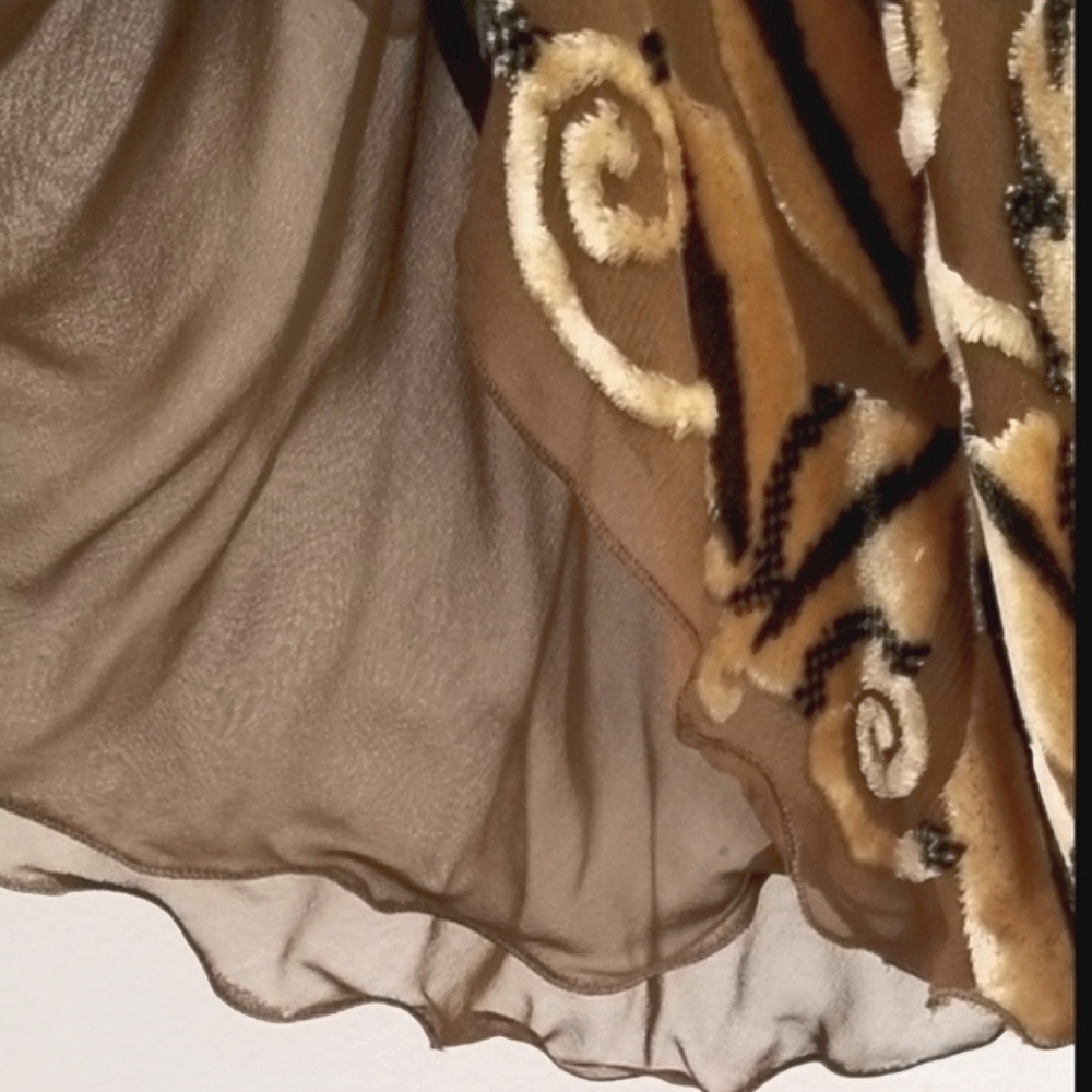 Marian Clayden Neiman Marcus Dress Cut Silk & Velvet Burnout Maxi Tan Size M - Picture 11 of 17